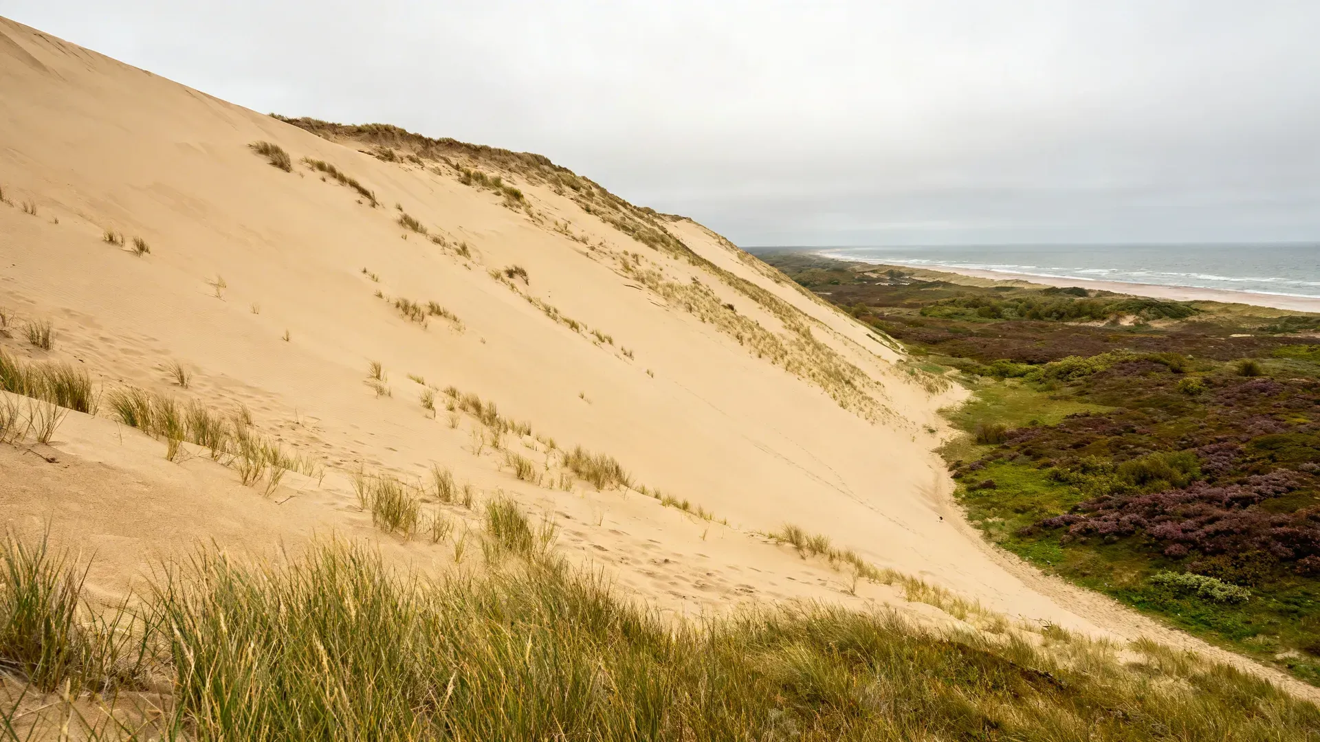 Strandvakantie Denemarken